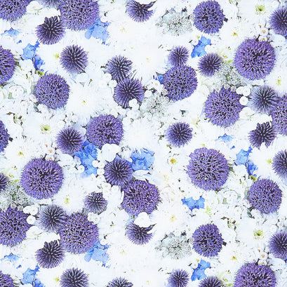 Hand Picked - Forget Me Not Globe Thistle White Blue 108" Wide Backing