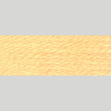 DMC Embroidery Floss - 3855 Light Autumn Gold Alternative View #1