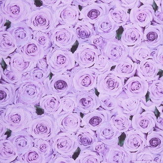 Love Letter - Packed Roses Purple Yardage