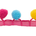 PomPom Fringe- Rainbow 1-1/8" Primary Image