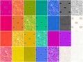 Sun Print 2023 Sundaes Alternative View #2