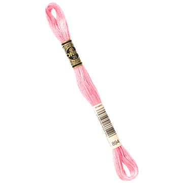 DMC Embroidery Floss - 893 Light Carnation Primary Image
