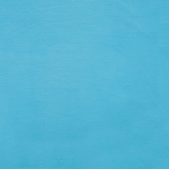 Cuddle® Solids - Dark Turquoise 60" Minky Yardage
