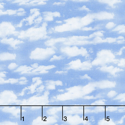 Landscape Medley - Packed Cloudy Sky Light Blue Yardage