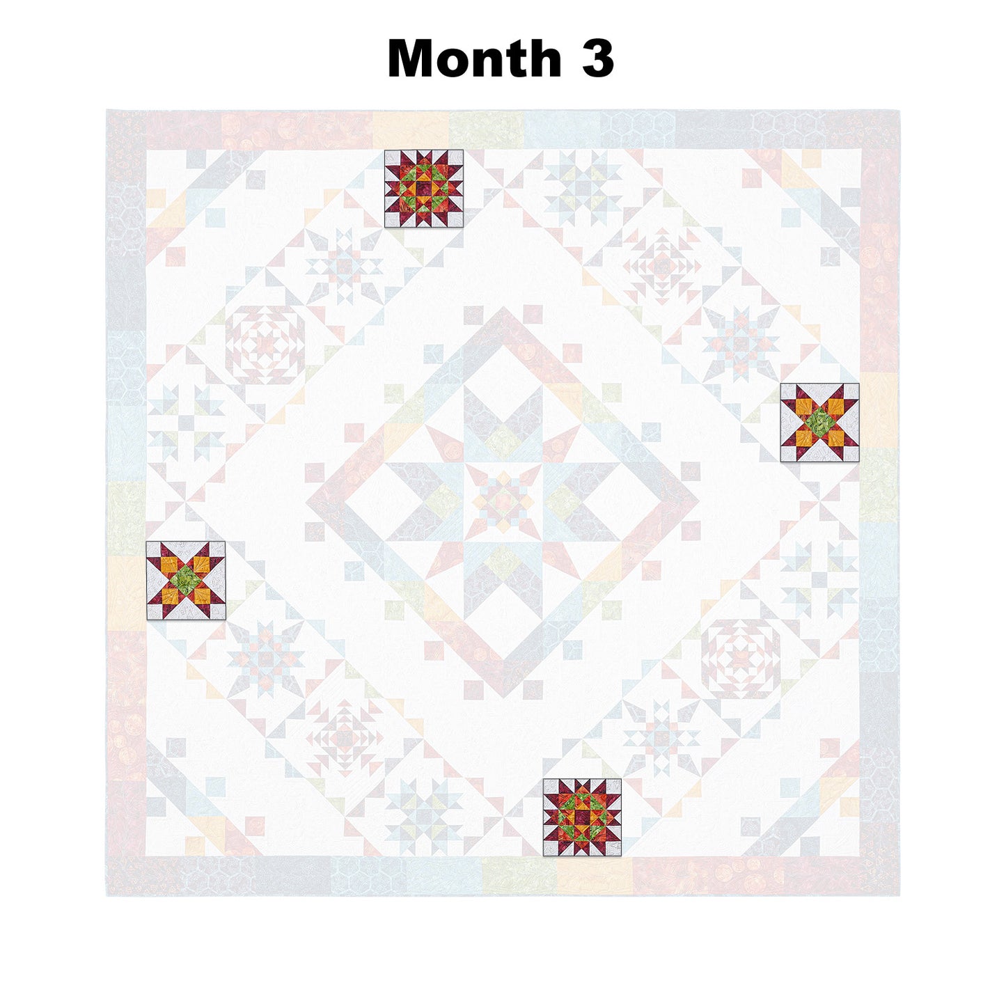 Jubilation Block of the Month Alternative View #4