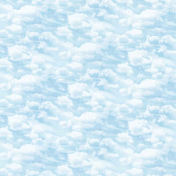 Naturescapes - Clouds Light Blue Yardage Primary Image