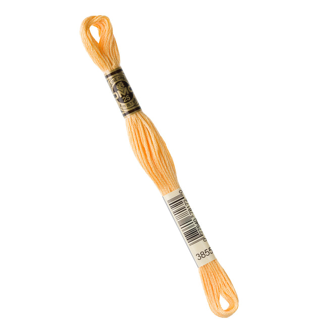 DMC Embroidery Floss - 3855 Light Autumn Gold Primary Image