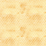 Honey Bee Farm - Honey Comb Honey Yardage Primary Image