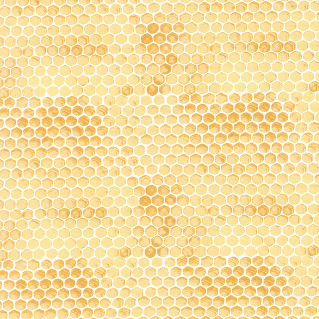 Honey Bee Farm - Honey Comb Honey Yardage Primary Image