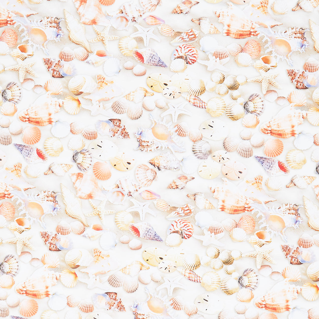 Novelty - Beachcomber Shells Multi Yardage Primary Image