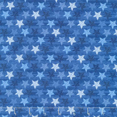Fired Up - Stars Blue Yardage