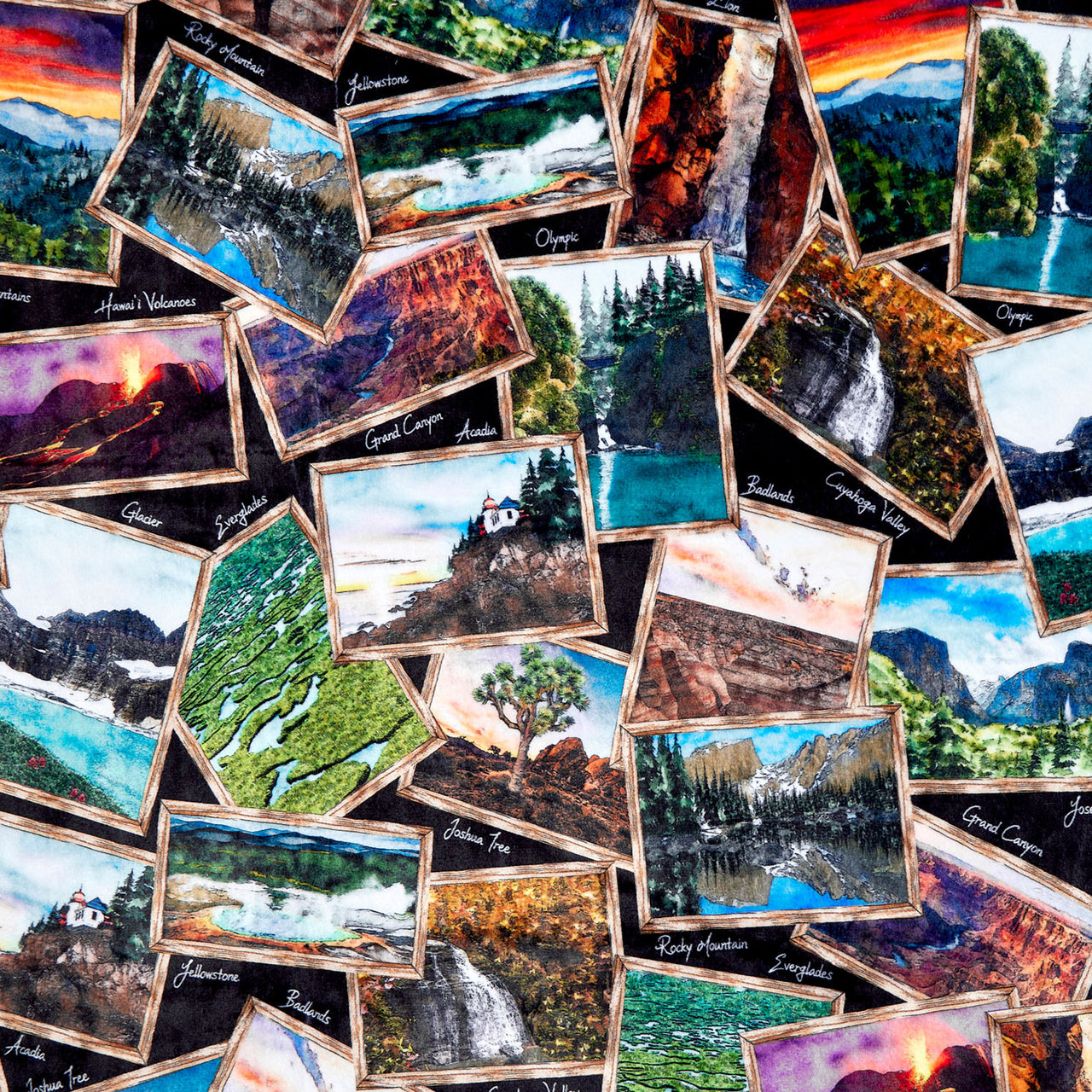 Cuddle® Prints - National Parks Black Yardage Primary Image