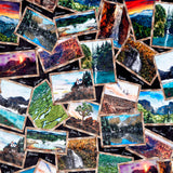 Cuddle® Prints - National Parks Black Yardage Primary Image