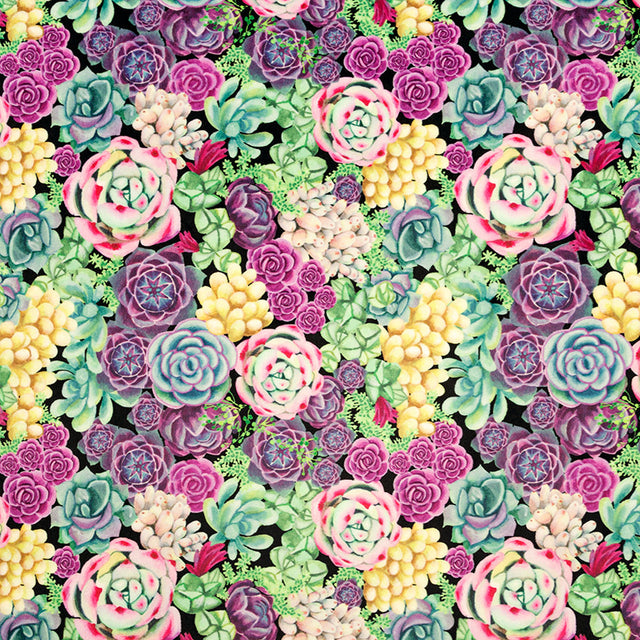 Cuddle® Prints - Succulents Peridot Digitally Printed Minky Yardage Primary Image