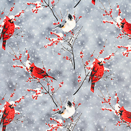 Cuddle® Prints - Cardinal Sparrow Silver Digitally Printed Minky Yardage Primary Image