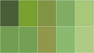 Handpicked Produce - Sweet Solids Green Salad Rolie Polie 20 pcs. Alternative View #2