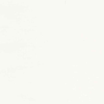 American Made Brand Cotton Solids - Light Cream Yardage Primary Image