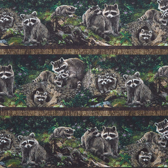 Naturescapes - Little Rascals Border Stripe Brown Multi Yardage