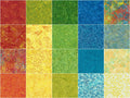 Free To Fly Batiks Favorites Strips Alternative View #2