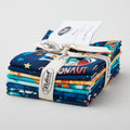 Blast Off! (Blank) Fat Quarter Bundle Alternative View #1