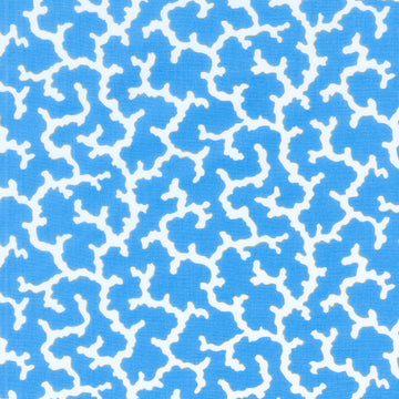 Kaffe Fassett Collective - February 2024 - Coral - Blue Yardage Primary Image