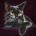 Midnight Cat Diamond Dotz Kit Primary Image