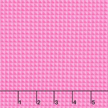 Live Boldly - Block Blender Raspberry Yardage Primary Image