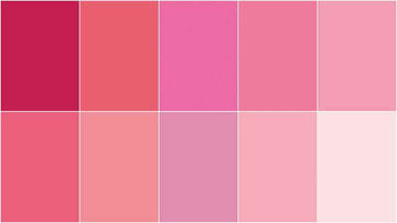 Handpicked Produce - Sweet Solids Perfect Pinks Rolie Polie 20 pcs. Alternative View #2