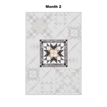 Naturally Neutral Block of the Month Alternative View #3