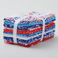 Anname Favorites 10 Piece Fat Quarter Bundle Alternative View #1