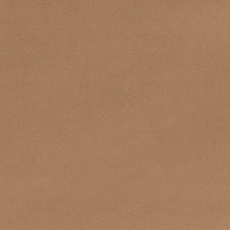 Cuddle® Solids - Taupe Minky Yardage