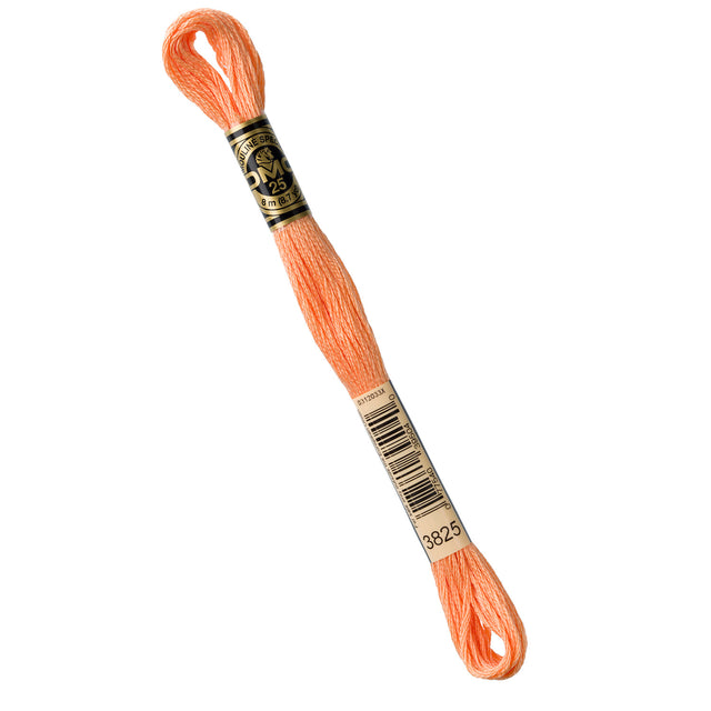DMC Embroidery Floss - 3825 Pale Pumpkin Primary Image