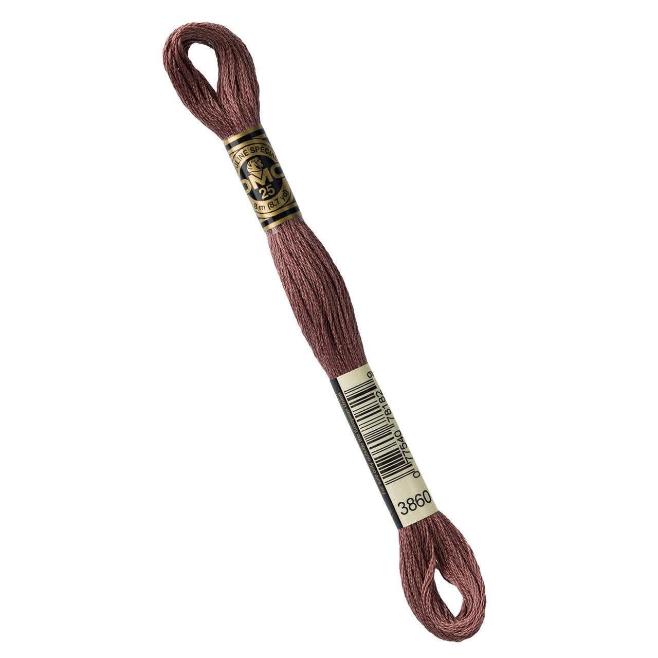 DMC Embroidery Floss - 3860 Cocoa Primary Image