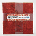 Destination Indonesia Favorites 10" Tiles Alternative View #1