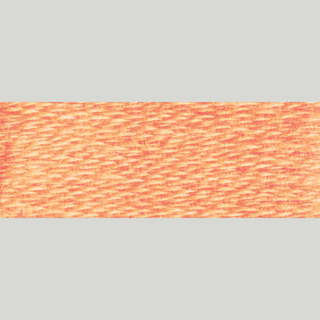 DMC Embroidery Floss - 3825 Pale Pumpkin Alternative View #1