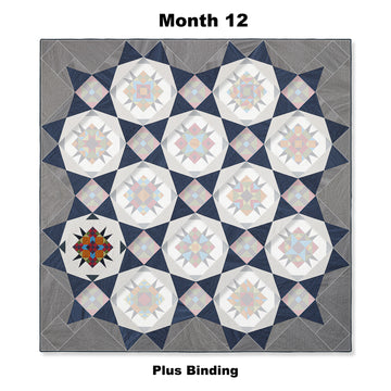 MoonRising Block of the Month Alternative View #13