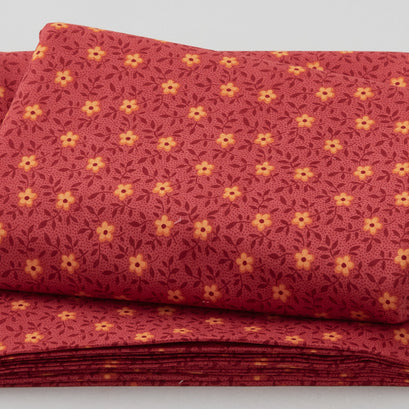 Rainbow Sampler - Floral Vine Burgundy 3 Yard Cut