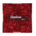Bandana Batiks Favorites 10" Tiles Alternative View #1