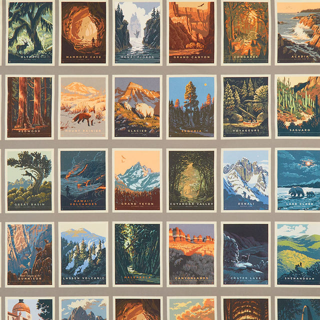 National Parks - Postcards Patch Gray Yardage Primary Image