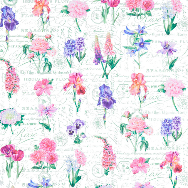 Deborah's Garden - Floral & Toile White Multi Yardage Primary Image
