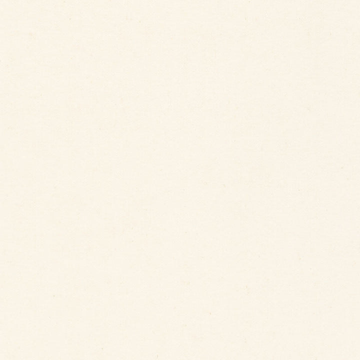 Flannel Solid - Solid Undyed Natural Yardage Primary Image