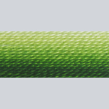 DMC Embroidery Floss - 92 Variegated Avocado Alternative View #1