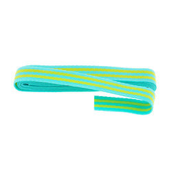 Tula Pink 1" Webbing - Classic Lime and Bright Aqua Primary Image