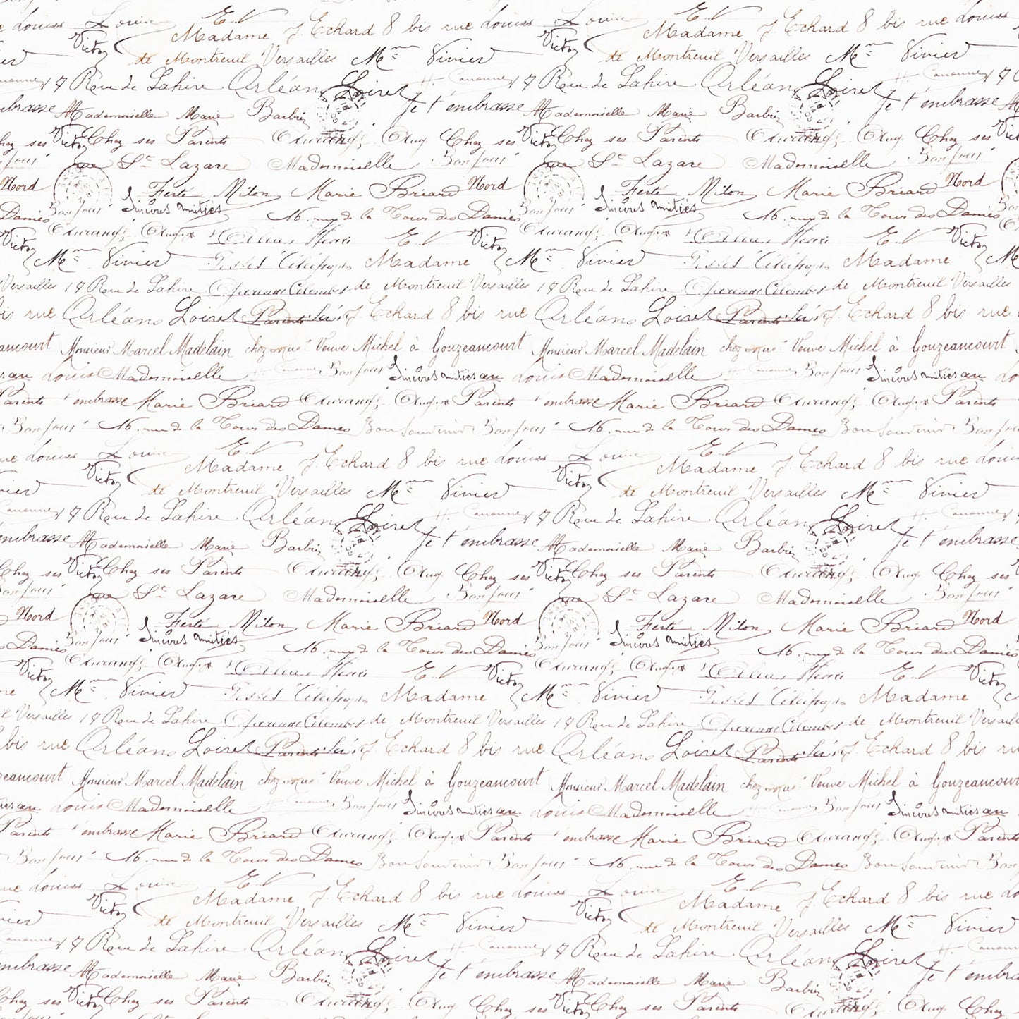 Vintage Rose (Timeless Treasures) - Handwriting Text Cream Wide Backing Yardage Primary Image