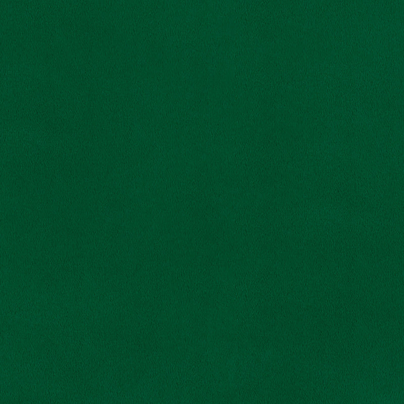 Cuddle® Solids - Emerald Minky Yardage Primary Image