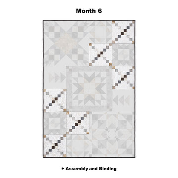 Naturally Neutral Block of the Month Alternative View #7