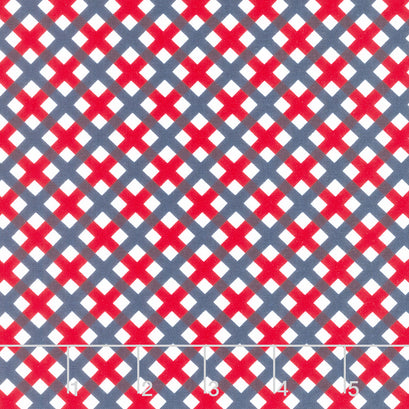 Sweet Freedom - Gingham Picnic Multi Yardage