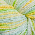 Cascade 220 Superwash Sport Multis Yarn