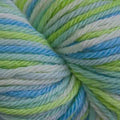 Cascade 220 Superwash Sport Multis Yarn