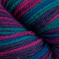 Cascade 220 Superwash Sport Multis Yarn